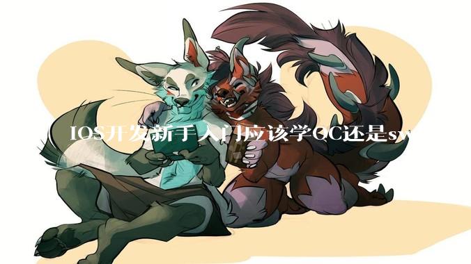 iOS开发新手入门应该学OC还是swift?